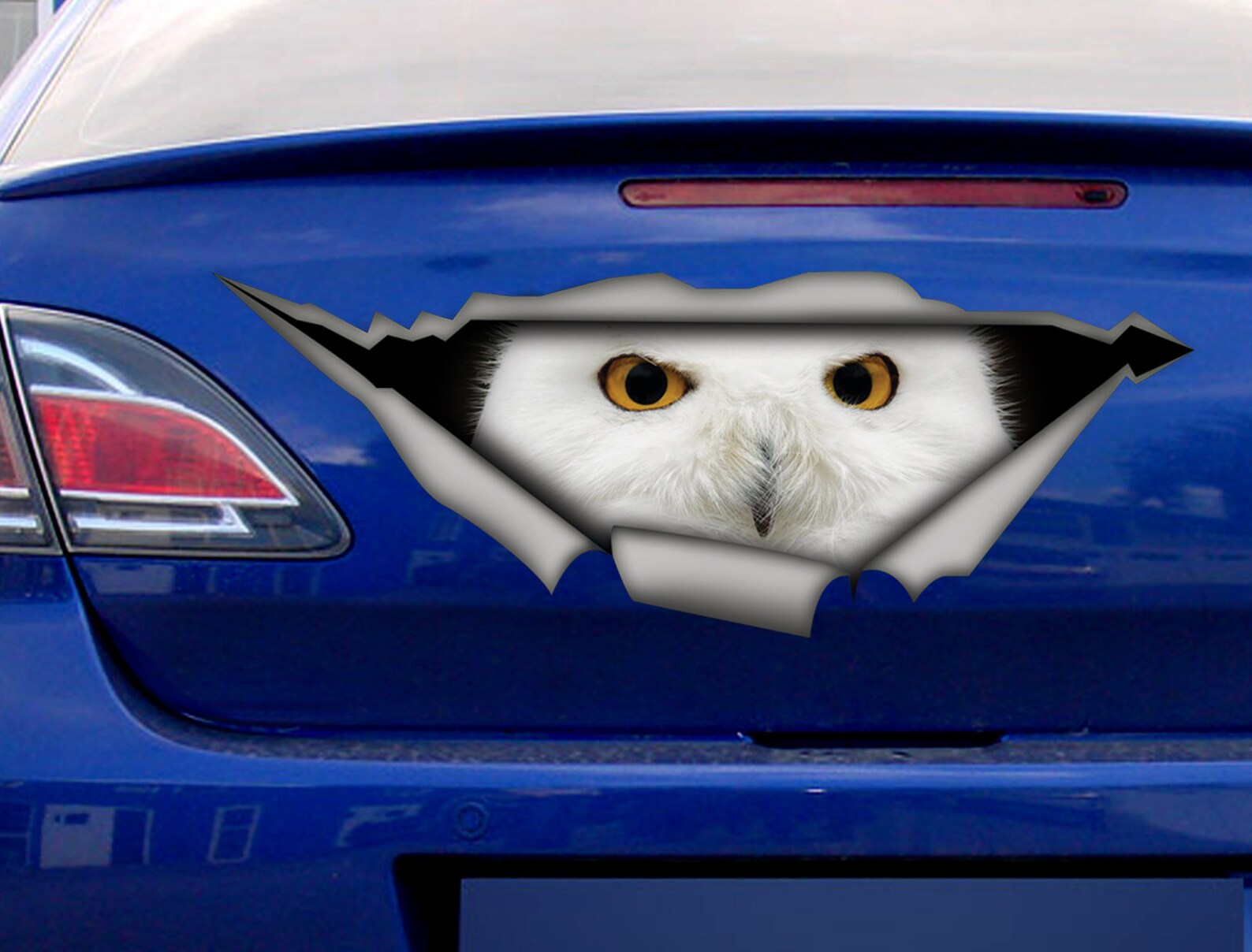 White Owl Sticker Owl Car Decal Car Decoration Owl Decal Etsy