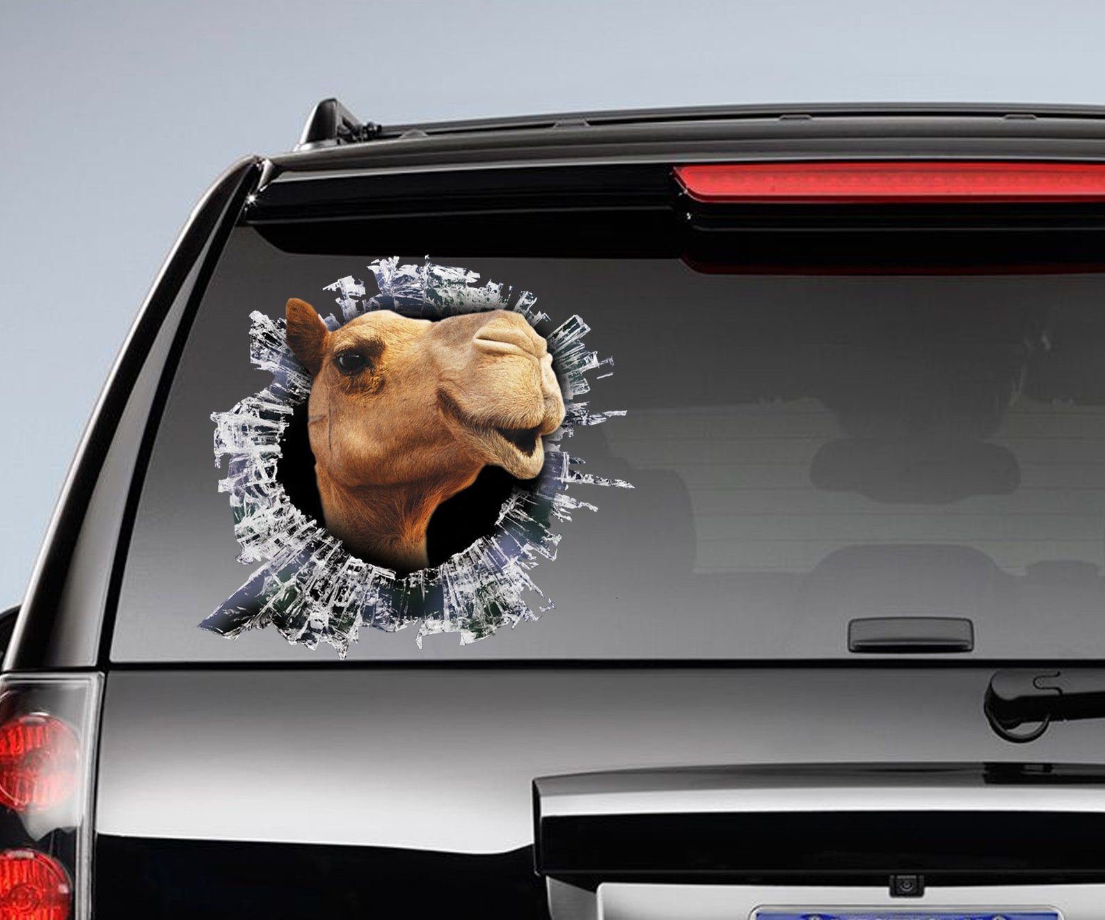 Camel Window Decal, Camel Car Sticker, Camel Car Decal, Funny Decal - Etsy