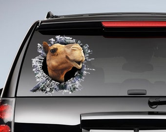 Camel window decal, camel car sticker, camel car decal, funny decal