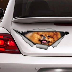 Pomeranian sticker, Pomeranian magnet,  Pet sticker, Pomeranian car decal, personalized sticker