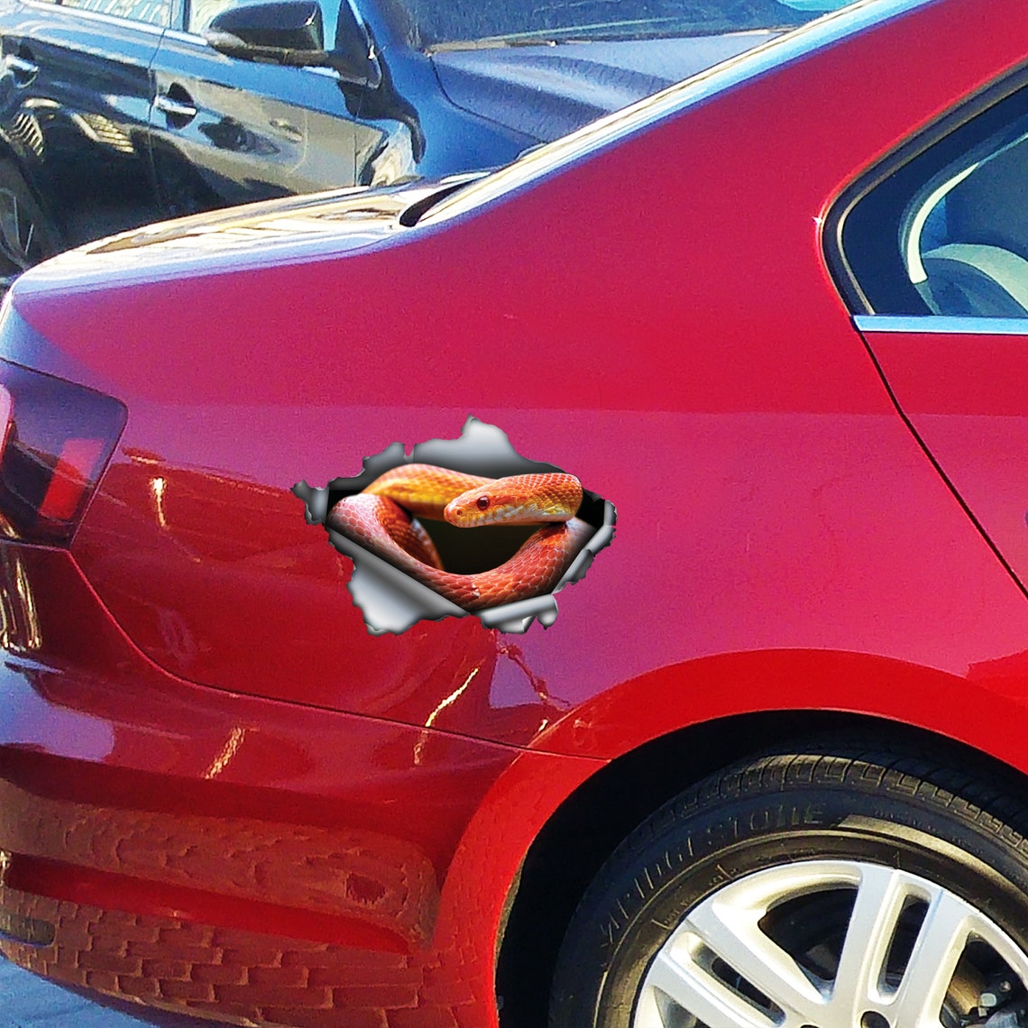 Corn Snake Car Decal , Corn Snake Magnet, Corn Snake Sticker - Etsy