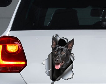 Malnos, Stcker Autocollant Voture Rond "Chen à Bord" Dsque Photo