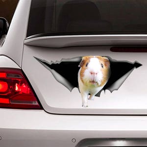 Guinea pig sticker,  guinea pig car decal, Vinyl decal, car decoration, pet decal, animal decal