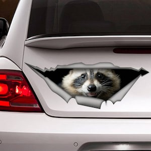Raccoon car decal, raccoon magnet, funny sticker, raccon sticker
