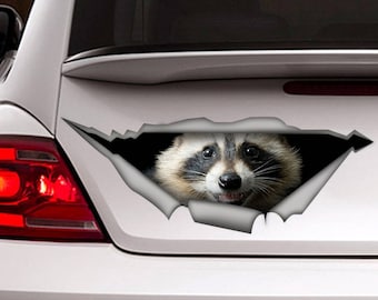 Raccoon car decal, raccoon magnet, funny sticker, raccon sticker