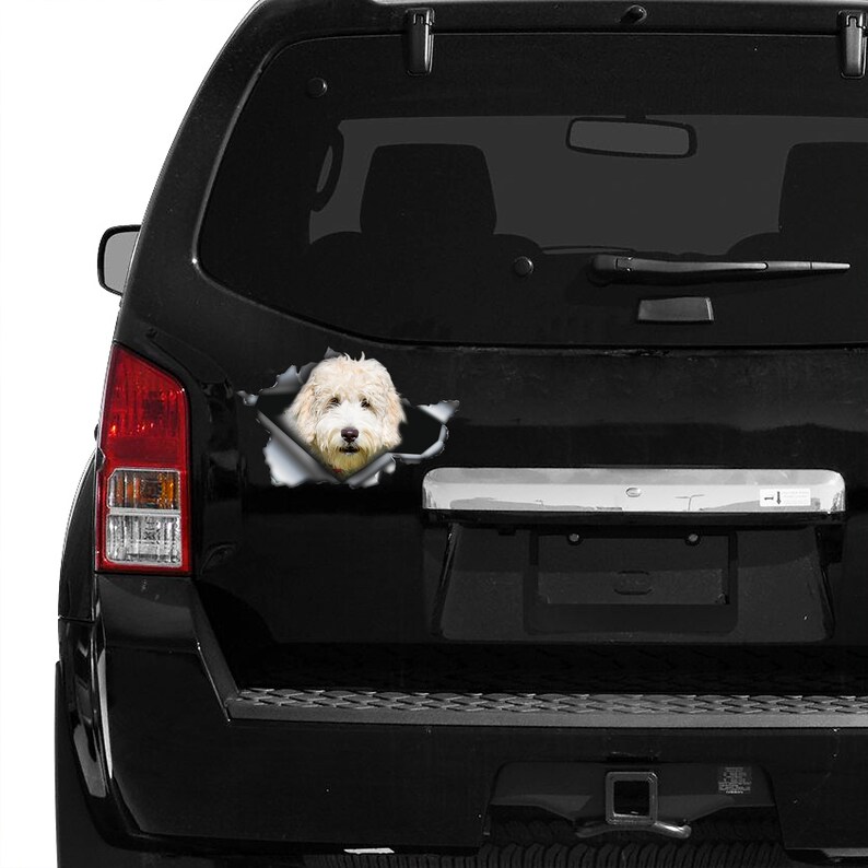 White Labradoodle Car Decal, White Labradoodle Magnet, White ...