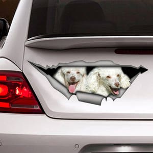 Autocollant, autocollant de voiture de caniches, décalque de caniche, autocollant d’animal familier