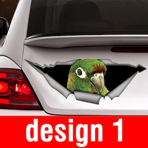 Puede incluir: Un loro verde y marrón con plumas rojas asoma por un adhesivo de ventana de coche rasgado. El adhesivo es blanco y tiene un fondo negro.