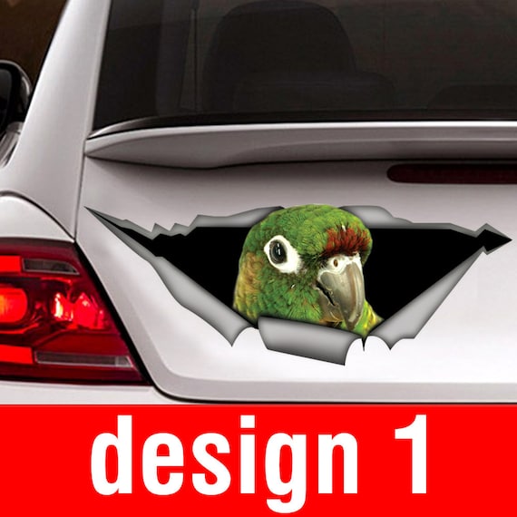 Sticker/ green cheek conure , parrot  sticker, green cheek conure car sticker