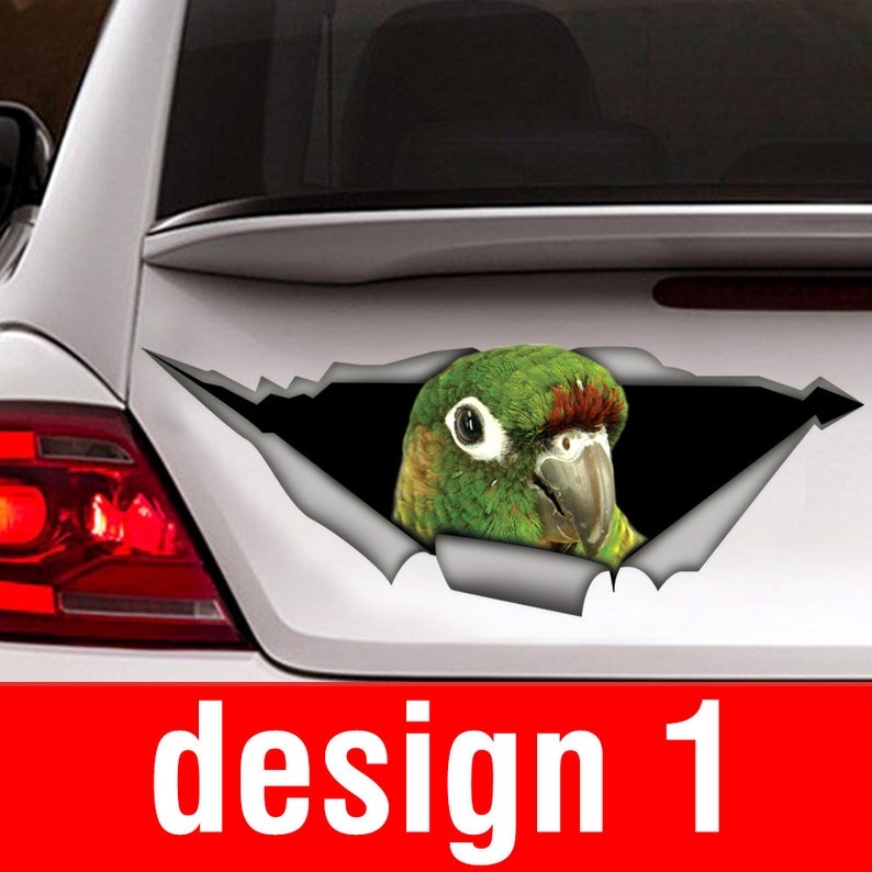 May include: A green and brown parrot with red feathers peeks out of a ripped car window decal. The decal is white and has a black background.