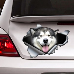Malamute car decal ,  Malamute magnet, car decoration, car sticker , Malamute  sticker