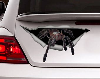 Spider  car decal, Spider magnet, funny car decal, spider sticker , car decoration