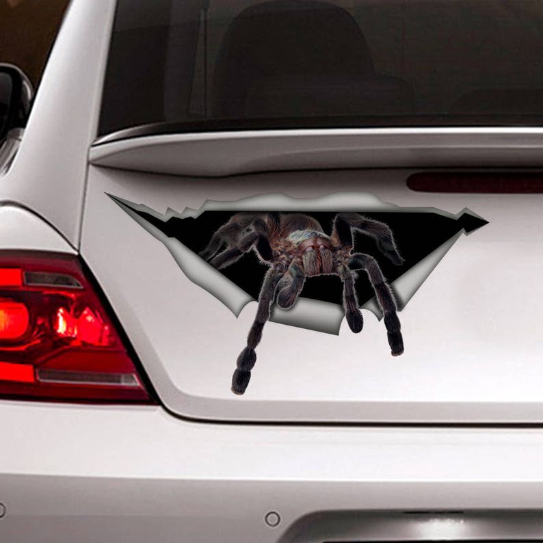 May include: A black tarantula spider crawling out of a ripped hole in a white car. The spider has eight legs and is in a threatening pose.