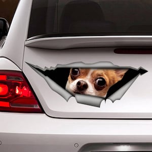 Funny Chihuahua car decal , chihuahua car decal, 3d decal,  car decoration, pet decal, dog sticker, dog decal