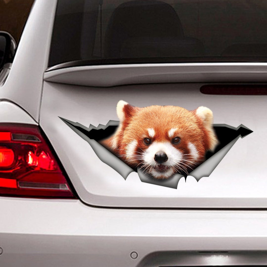 Red Car Panda Magnet Animal Car Etsy