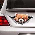Sticker Red Panda  car ,  panda magnet , animal sticker, car sticker, panda decal product logo