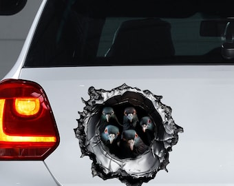 Pigeon car sticker, Pigeon magnet, funny pigeons decal