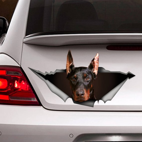 Doberman Auto Aufkleber, Doberman Aufkleber, Dobermann Magnet, lustige  Aufkleber, Laptop Aufkleber, 3D-Aufkleber