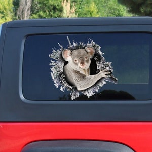 Koala window sticker, car sticker, Koala car decal, funny decal