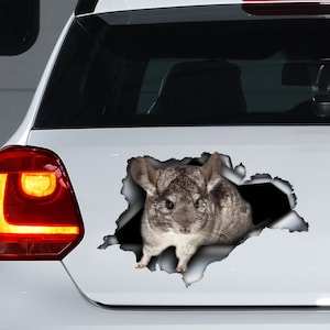 Chinchilla car decal, chinchilla car magnet,  chinchilla sticker