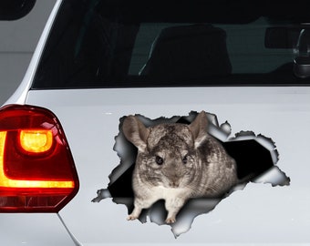 Autocollant de voiture chinchilla, aimant de voiture chinchilla, autocollant chinchilla