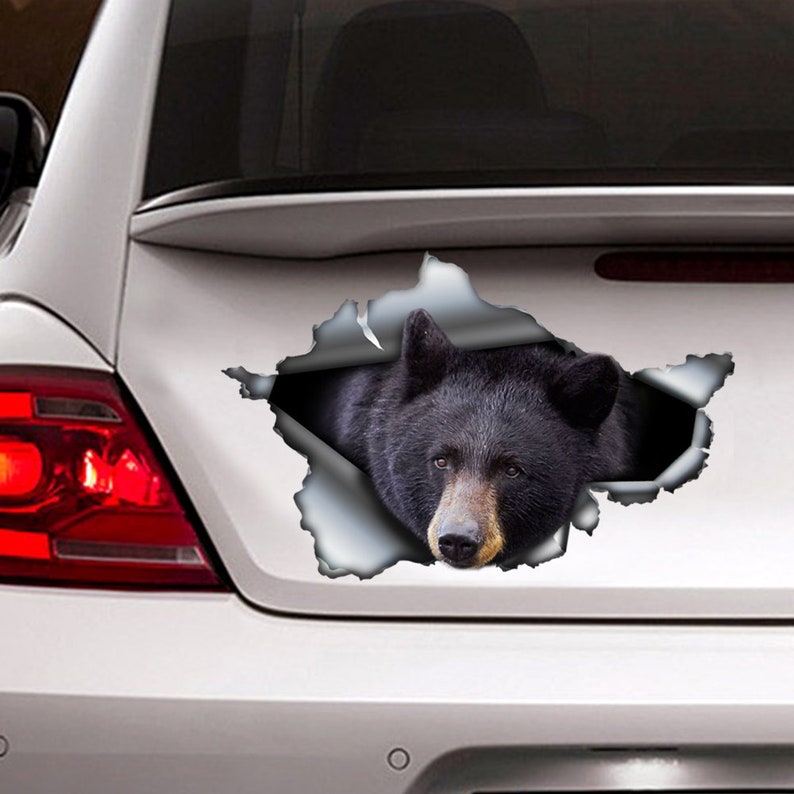 May include: A black bear's head peeks out of a ripped hole in a white car bumper sticker. The bear has a serious expression and its fur is black and brown.