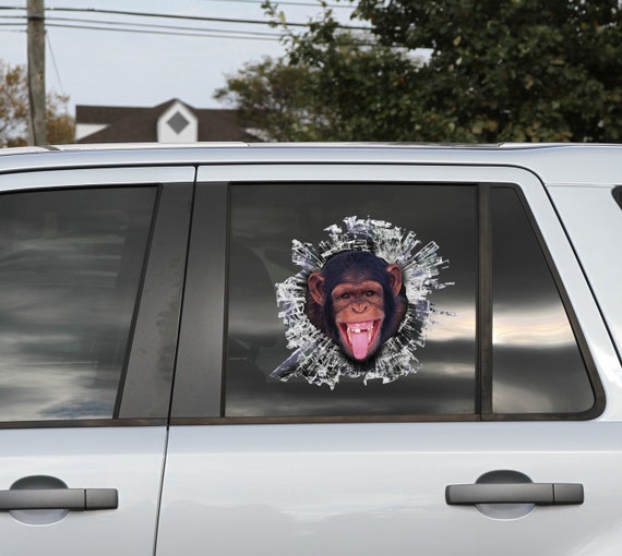Monkey Window Scary