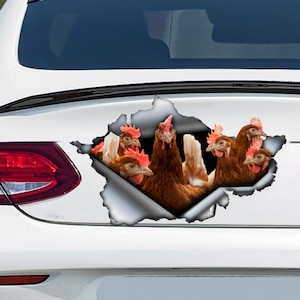 Brown chickens car decal, chicken magnet,  brown chicken car sticker, farm decal, funny magnet
