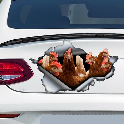 Funny Chickens Window Decal Chicken Car Sticker Funny Etsy