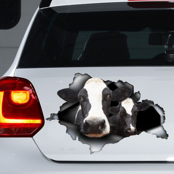Schwarz und weiß Kühe Auto Aufkleber, Kuh Auto Magnet, Kuh Aufkleber -  .de