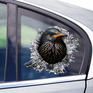 Starling Bird window sticker, Starling Bird car sticker, bird decal