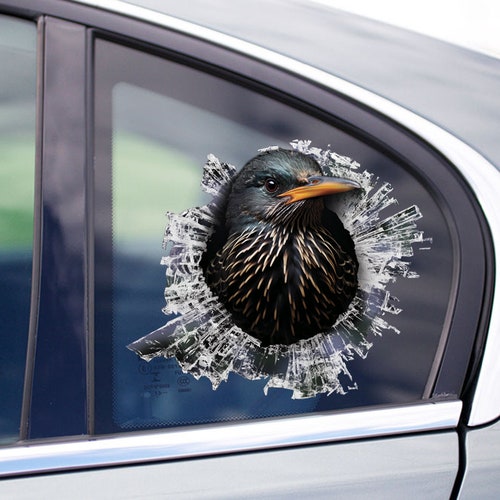 Pegatina de ventana Starling Bird, pegatina de coche Starling Bird, calcomanía de pájaro