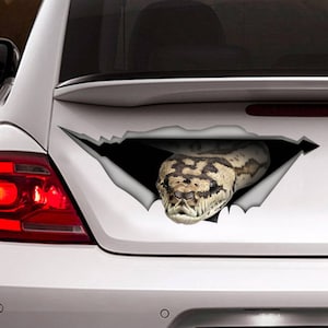 May include: A white car with a snake decal on the rear. The decal depicts a snake emerging from a torn hole in the car's surface.