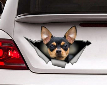 Cane con occhiali da sole adesivo per auto adesivo per cani
