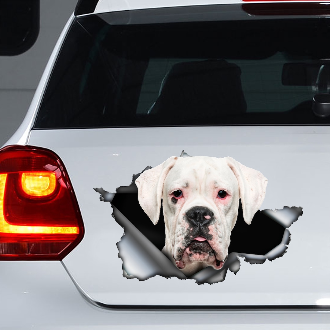 White Boxer Car Decal, White Boxer Boxer Dog Sticker Etsy
