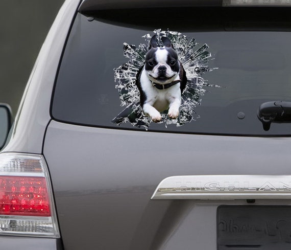 STICKER, boston terrier window sticker, car sticker, pet car decal, funny  sticker