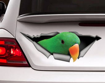 Autocollant Voiture 3D Eclectus Roratus (perroquet) - 45,7 Cm - Vinyle Résistant Aux Intempéries