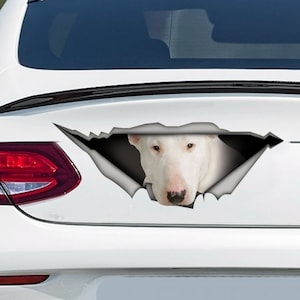 White Bull Terrier car decal , Bull Terrier magnet,   bull terrier sticker