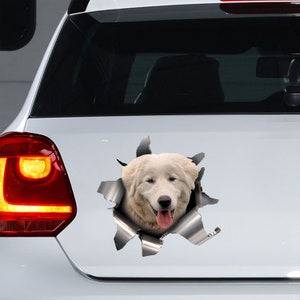 Adesivo de carro cão pastor Maremma-Abruzzi, decalque cão pastor Maremma, ímã cão pastor Maremma