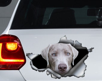 Décalcomanie de voiture de laboratoire d’argent, décalque gris de labrador, autocollant de Labrador, décalcomanie d’animal familier