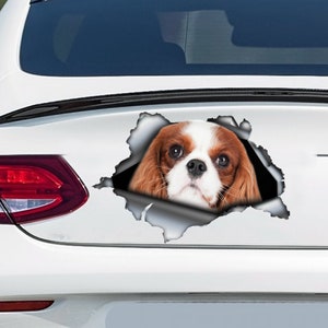 Red Cavalier King car decal,  Red Cavalier King  magnet, cavalier King Charles car sticker, pet decal