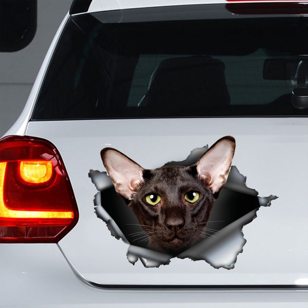 Black Oriental cat car decal , black  oriental cat  magnet, oriental cat sticker