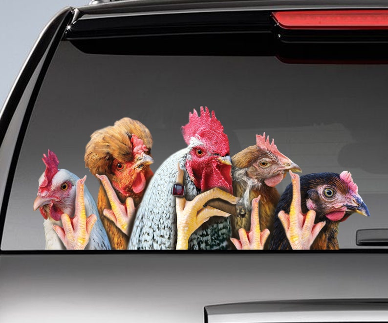 Funny Chickens Window Decal Chicken Car Sticker Funny Etsy