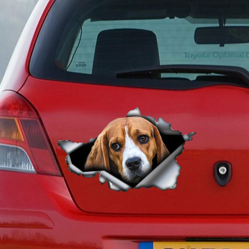 Beagle car decal Beagle sticker car decoration Etsy