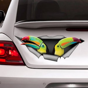 Keel-billed toucan car  decal , Toucan magnet,  Toucan decal, bird sticker, funny  decal, Keel-billed toucan  sticker