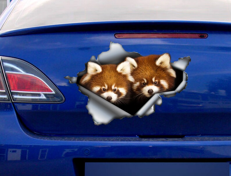 Funny Red Pandas Car Decal , Red Panda Magnet, Red Panda Sticker - Etsy