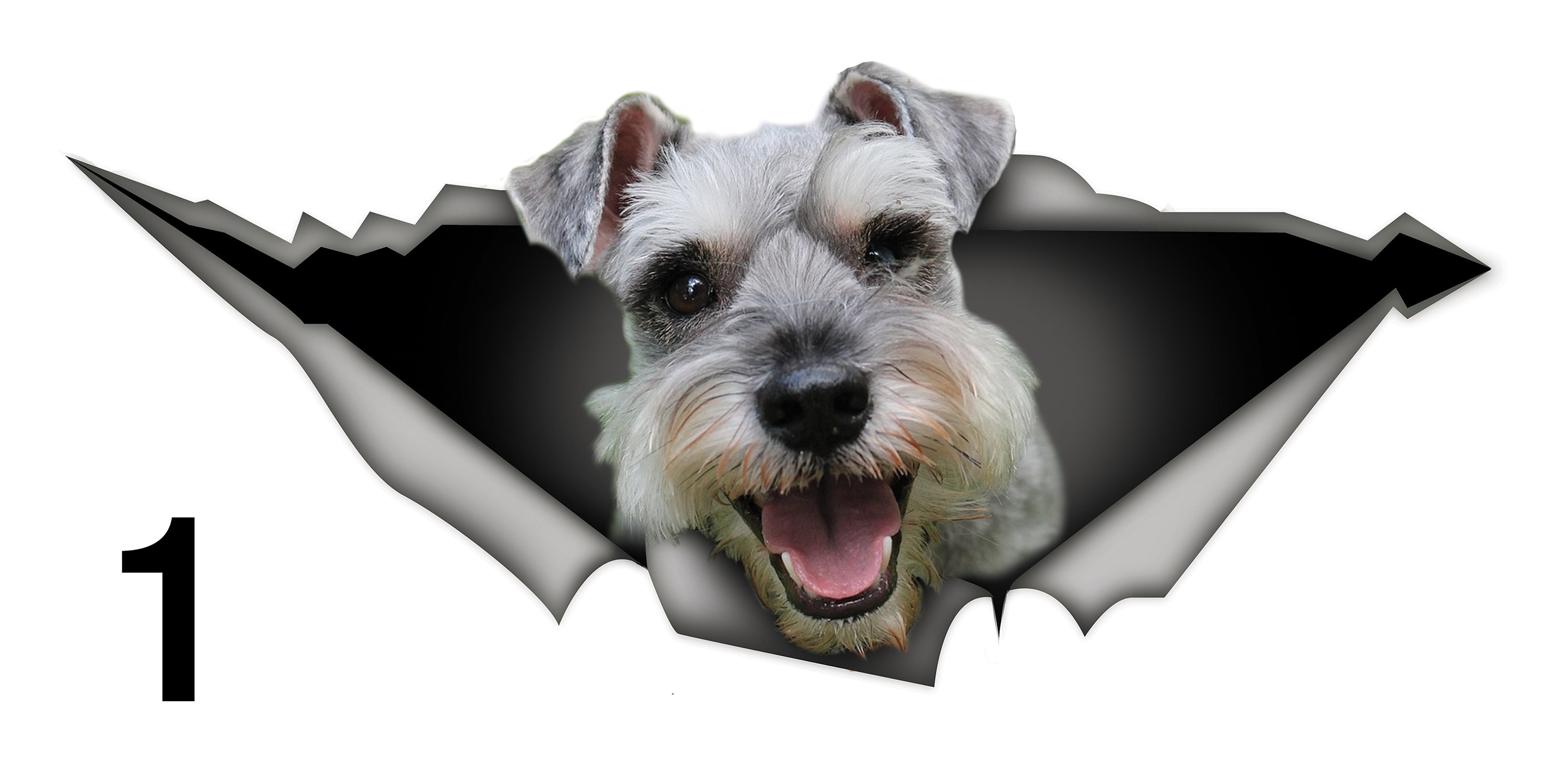 Schnauzer Car Sticker Dog Car Decal Schnauzer Decal Car Etsy Australia