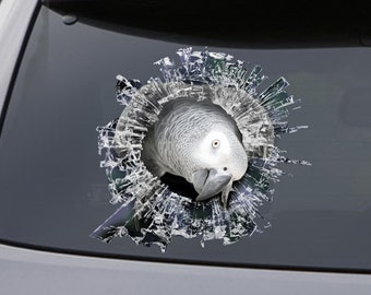 STICKER, african grey  window sticker, car sticker, parrot car decal, funny sticker