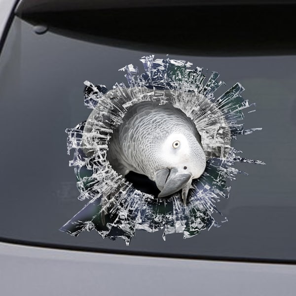 STICKER, african grey  window sticker, car sticker, parrot car decal, funny sticker
