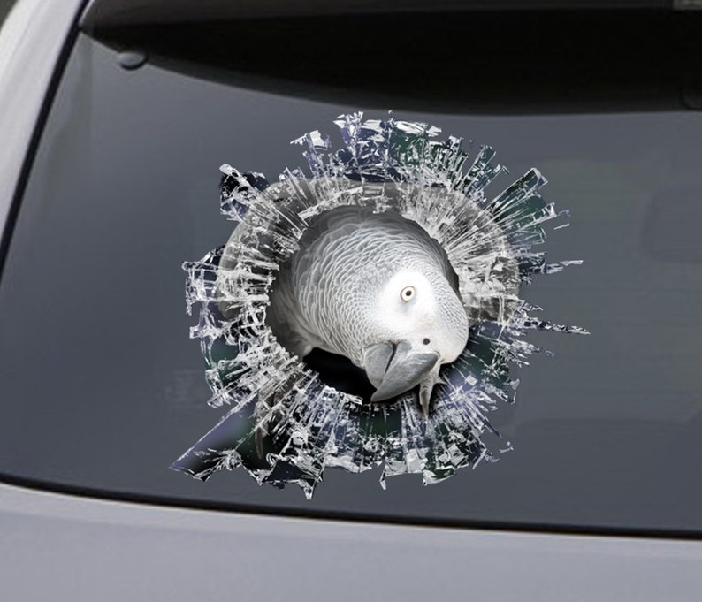 STICKER African Grey Window Sticker Car Sticker Parrot Car Etsy UK